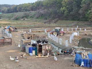 노희식님의 자유주제 · 자유게시판 작성글 사진