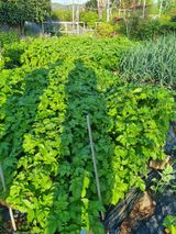 이남신님의 자유주제·자유게시판 작성글 사진