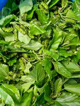 매실향기차향기님의 자유주제·자유게시판 작성글 사진