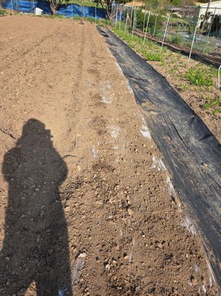 논산상월안정환님의 자유주제 · 자유게시판 작성글 사진