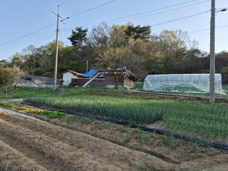 Kns4324님의 자유주제 · 자유게시판 작성글 사진