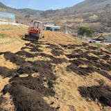 권춘화님의 자유주제·자유게시판 작성글 사진