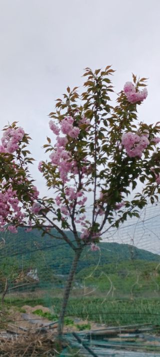 김 연님의 자유주제 · 자유게시판 작성글 사진