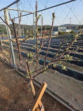 서곤님의 자유주제 · 자유게시판 작성글 사진