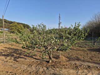 Kns4324님의 자유주제 · 자유게시판 작성글 사진