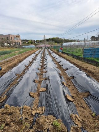 유일기님의 자유주제 · 자유게시판 작성글 사진