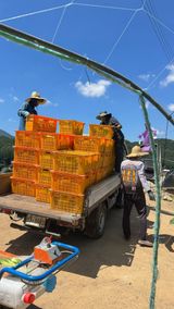 김성영님의 오이·자유게시판 작성글 사진