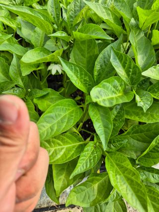 김영진(전남영광)님의 자유주제 · 자유게시판 작성글 사진