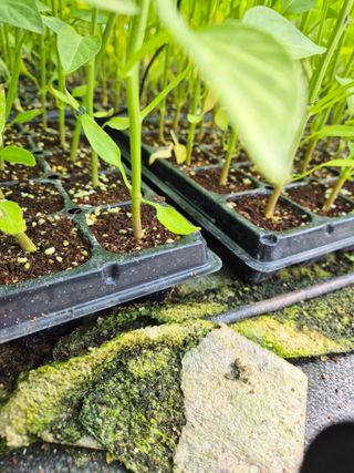 김영진(전남영광)님의 자유주제 · 자유게시판 작성글 사진