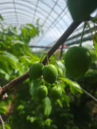 두릅나무9110님의 자유주제·자유게시판 작성글 사진