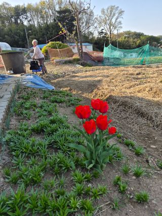 Kns4324님의 자유주제·자유게시판 작성글 사진