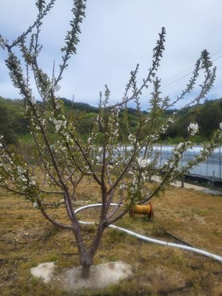 김덕원님의 자유주제·자유게시판 작성글 사진