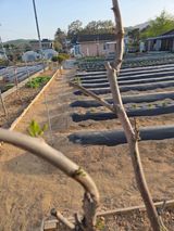 서곤님의 자유주제·자유게시판 작성글 사진