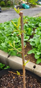 팜모닝 자유주제·자유게시판 게시글 이미지