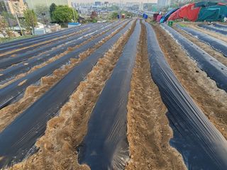 황규엽님의 자유주제·자유게시판 작성글 사진