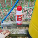 팜모닝 자유주제·자유게시판 게시글 이미지