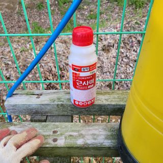 이창화님의 자유주제 · 자유게시판 작성글 사진