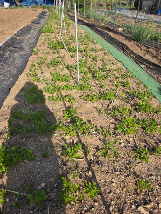 논산상월안정환님의 자유주제 · 자유게시판 작성글 사진