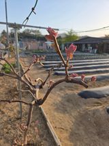 서곤님의 자유주제·자유게시판 작성글 사진