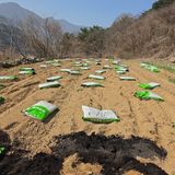 권춘화님의 자유주제·자유게시판 작성글 사진