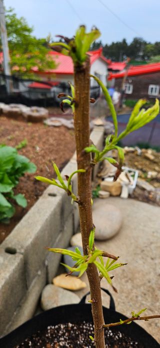 김명숙님의 자유주제 · 자유게시판 작성글 사진