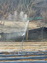 회사원&초보농사꾼님의 자유주제·자유게시판 작성글 사진