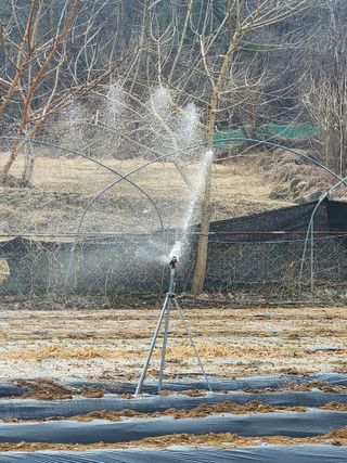 회사원&초보농사꾼님의 자유주제 · 자유게시판 작성글 사진