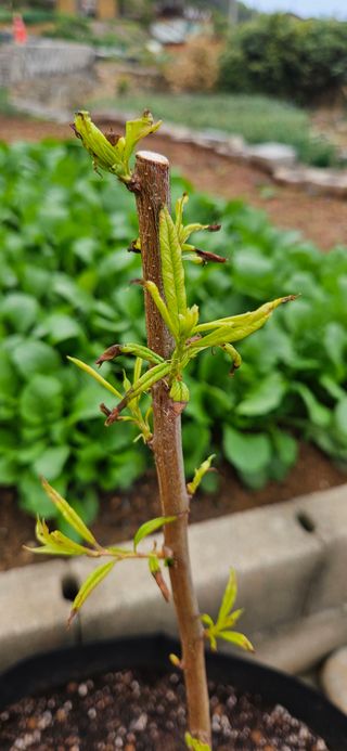 김명숙님의 자유주제 · 자유게시판 작성글 사진