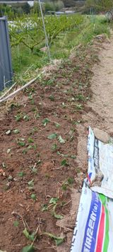 김 연님의 자유주제·자유게시판 작성글 사진