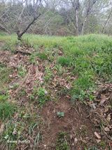 윤석돈님의 자유주제·자유게시판 작성글 사진