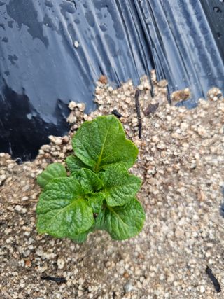 백용기님의 자유주제 · 자유게시판 작성글 사진