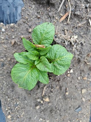 백용기님의 자유주제 · 자유게시판 작성글 사진