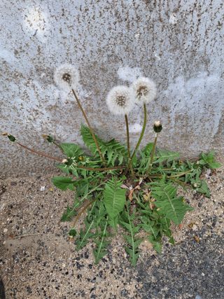 MSG0074님의 자유주제 · 자유게시판 작성글 사진