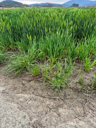 김영진(전남영광)님의 자유주제 · 자유게시판 작성글 사진