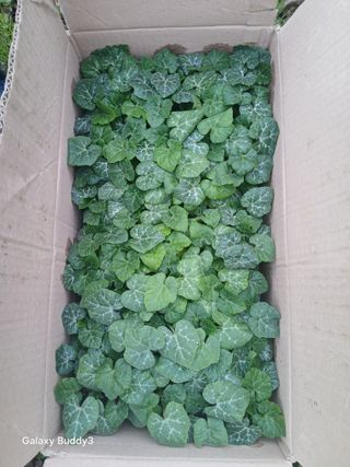 윤석돈님의 자유주제 · 자유게시판 작성글 사진