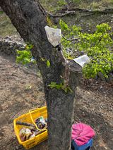 김용대님의 자유주제·자유게시판 작성글 사진