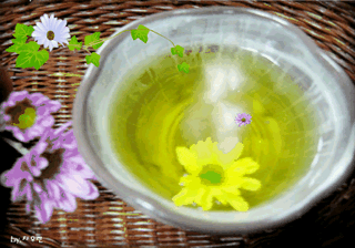 보리수치유농장님의 자유주제 · 자유게시판 작성글 사진