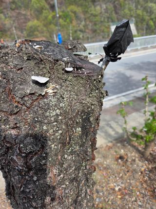 김용대님의 자유주제 · 자유게시판 작성글 사진