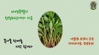 자연농원 순 강재옥님의 작성글 사진