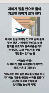 Kns4324님의 자유주제·자유게시판 작성글 사진