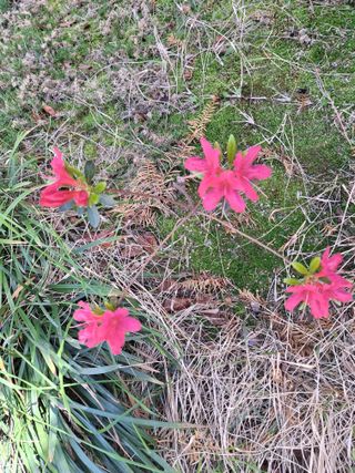 MSG0074님의 자유주제 · 자유게시판 작성글 사진