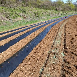 오영도님의 자유주제 · 자유게시판 작성글 사진