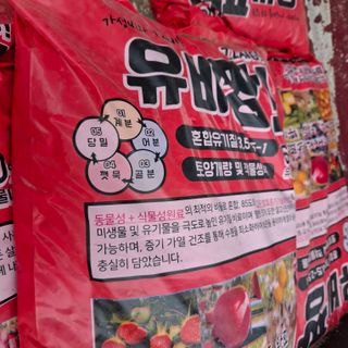 오영도님의 자유주제 · 자유게시판 작성글 사진