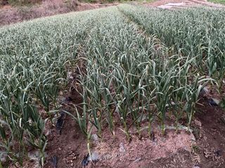 오디님의 자유주제 · 자유게시판 작성글 사진