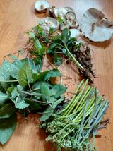 별빛농장지기님의 자유주제·자유게시판 작성글 사진