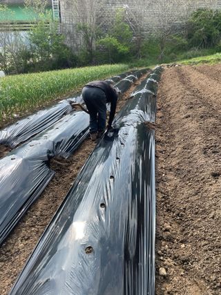 오디님의 자유주제 · 자유게시판 작성글 사진