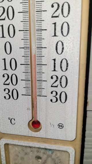 여우내 이순홍님의 자유주제·자유게시판 작성글 사진