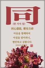 팜모닝 자유주제·자유게시판 게시글 이미지