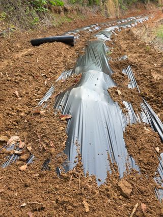 김석기님의 자유주제 · 자유게시판 작성글 사진