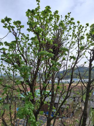 MSG0074님의 자유주제 · 자유게시판 작성글 사진